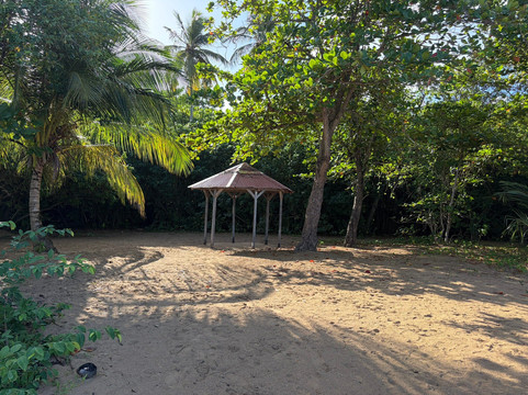 Pelican Safari Tour-Deshaies必去景点