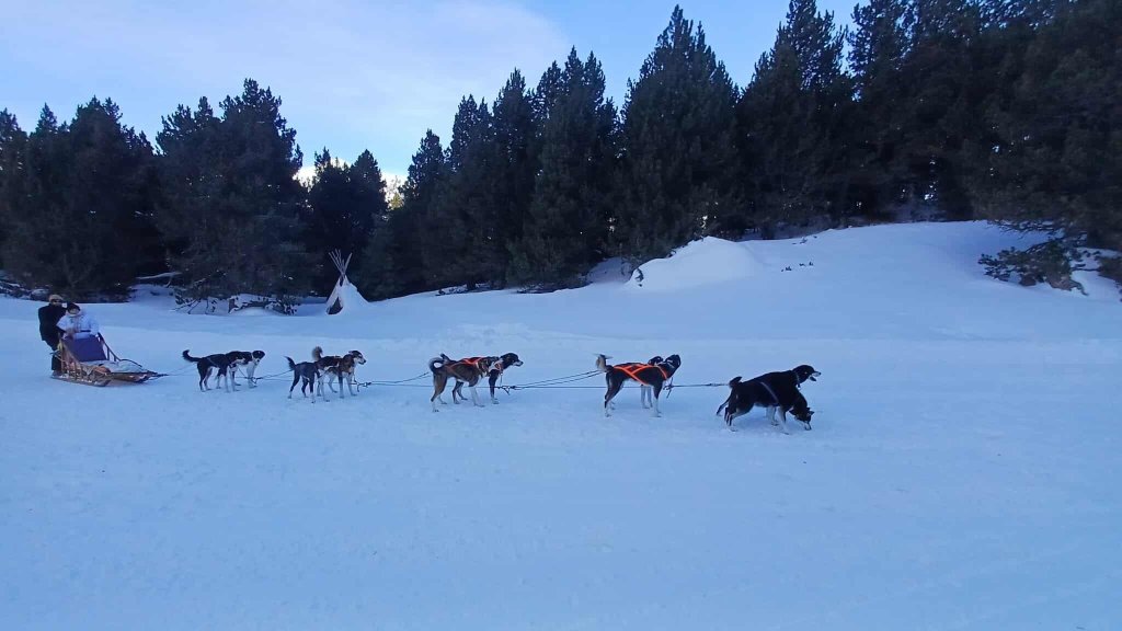 安道尔中心酒店-官方