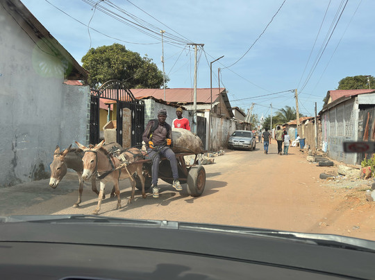 Kachikally Crocodile Pool-Bakau必去景点
