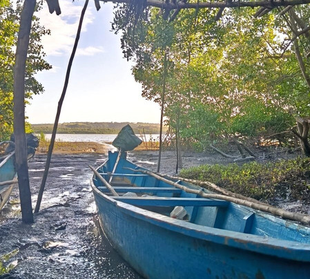 Aventura Eco Brasil-Barra de Sao Miguel必去景点