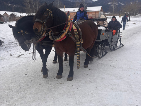 Gastehaus & Reiterhof Nemast主图