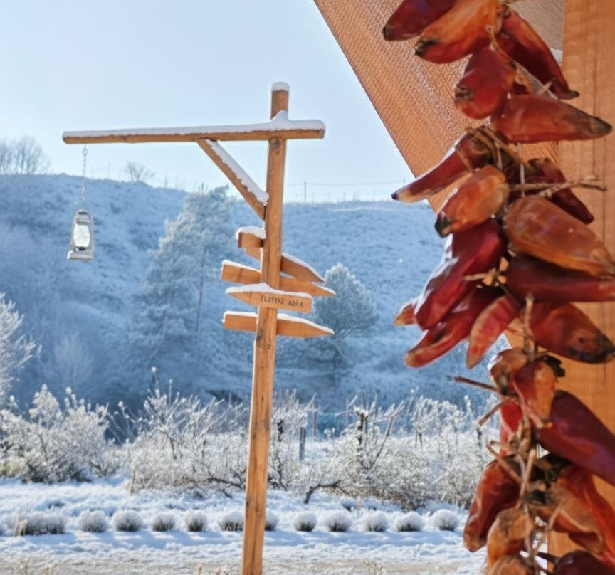 Acol Armenian Ethnic Manor-Dilijan必去景点