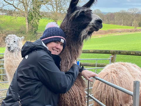 Briery Hill Llamas-Kilcot必去景点