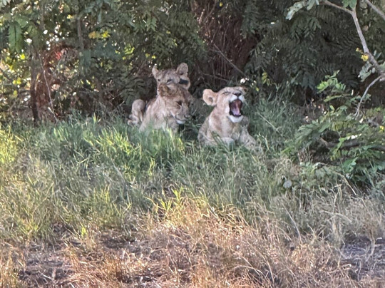 Abdull Safari Kenya-瓦塔木必去景点