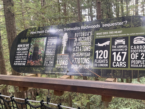 Scott Tours-陶兰加必去景点