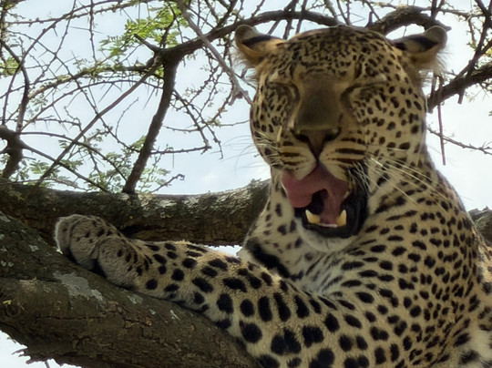 Zara Tanzania Adventures-莫西必去景点