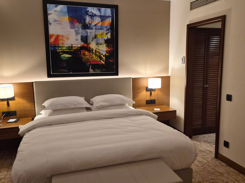 Hyatt Regency Thessaloniki主图