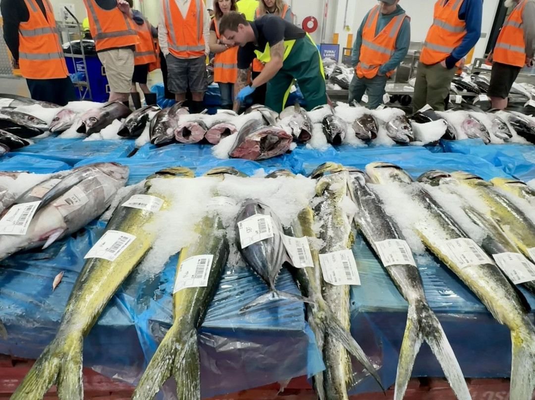 Behind the Scenes at Sydney Fish Market-悉尼必去景点