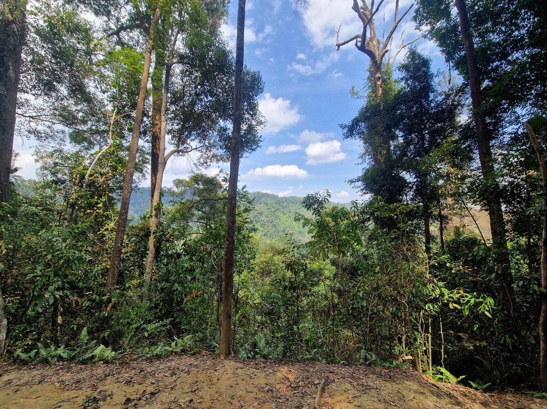 Sumatra EcoVentures-武吉拉旺必去景点
