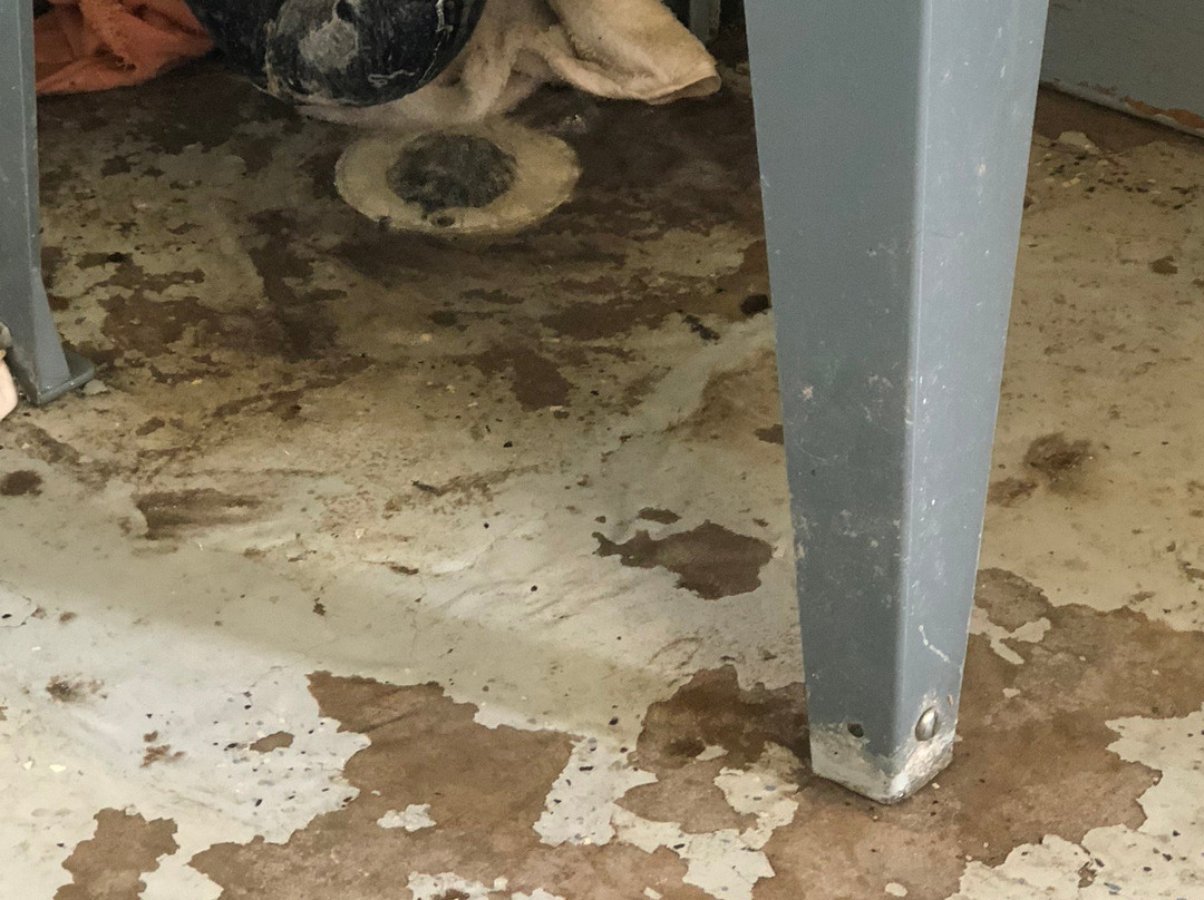 Mountain Village酒店住宿-Telluride Lodge by AvantStay