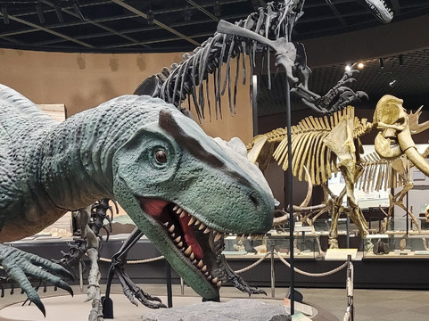 Tochigi Prefectural Museum-宇都宫市必去景点