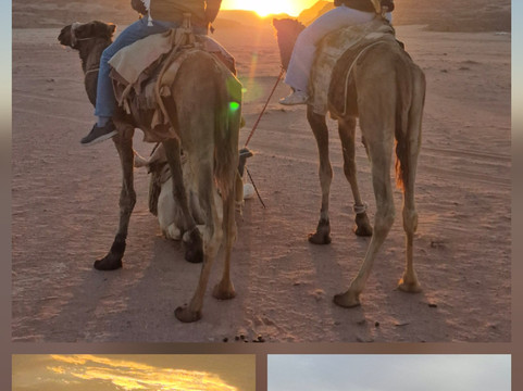 Mohammad Madi-安曼必去景点