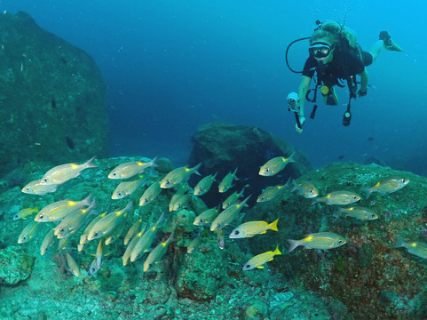 夏基潜水中心-卡伦必去景点