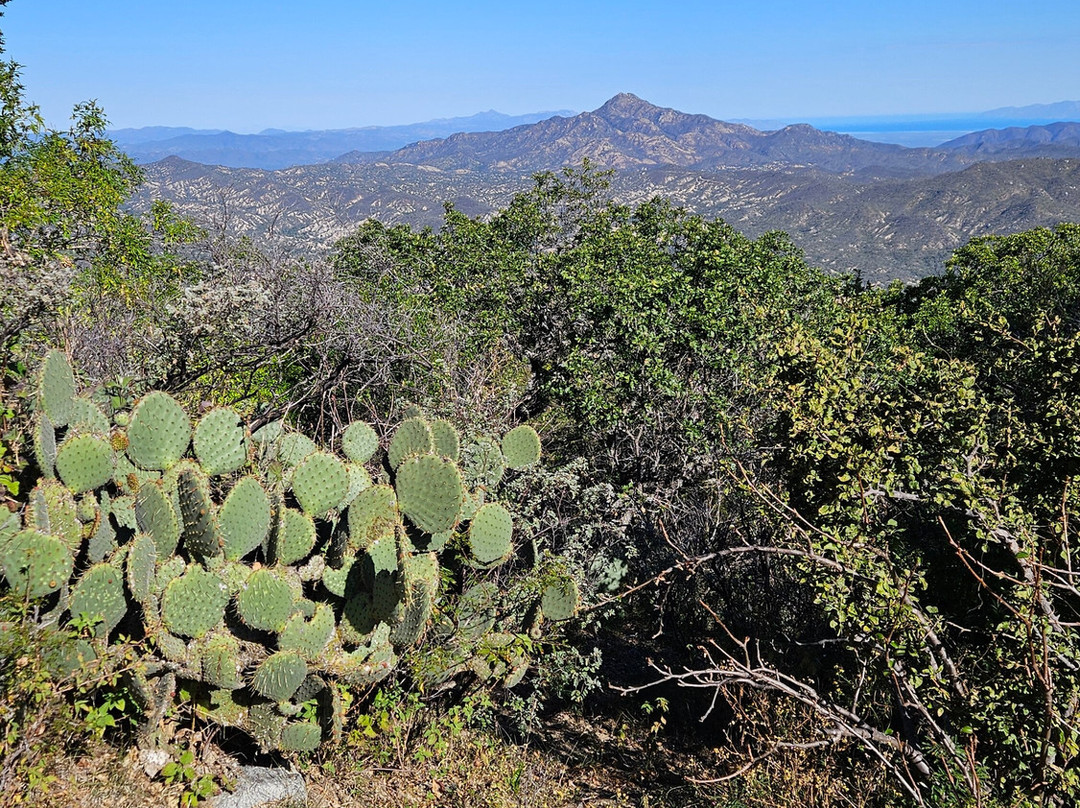 Lugares Pajarosos Birding Expeditions-拉巴斯必去景点