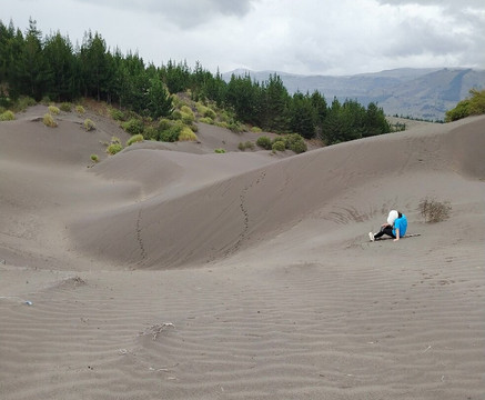 Desierto De Palmira-Chimborazo Province必去景点