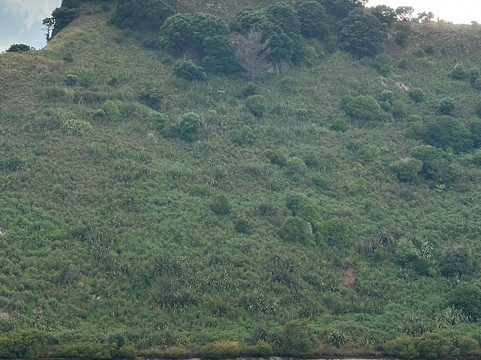 Stay High Island Camping Co.-Great Barrier Island必去景点