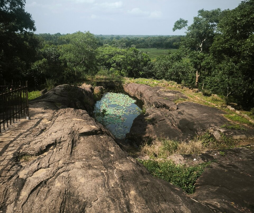 Avukana Buddha Statue-Kekirawa必去景点