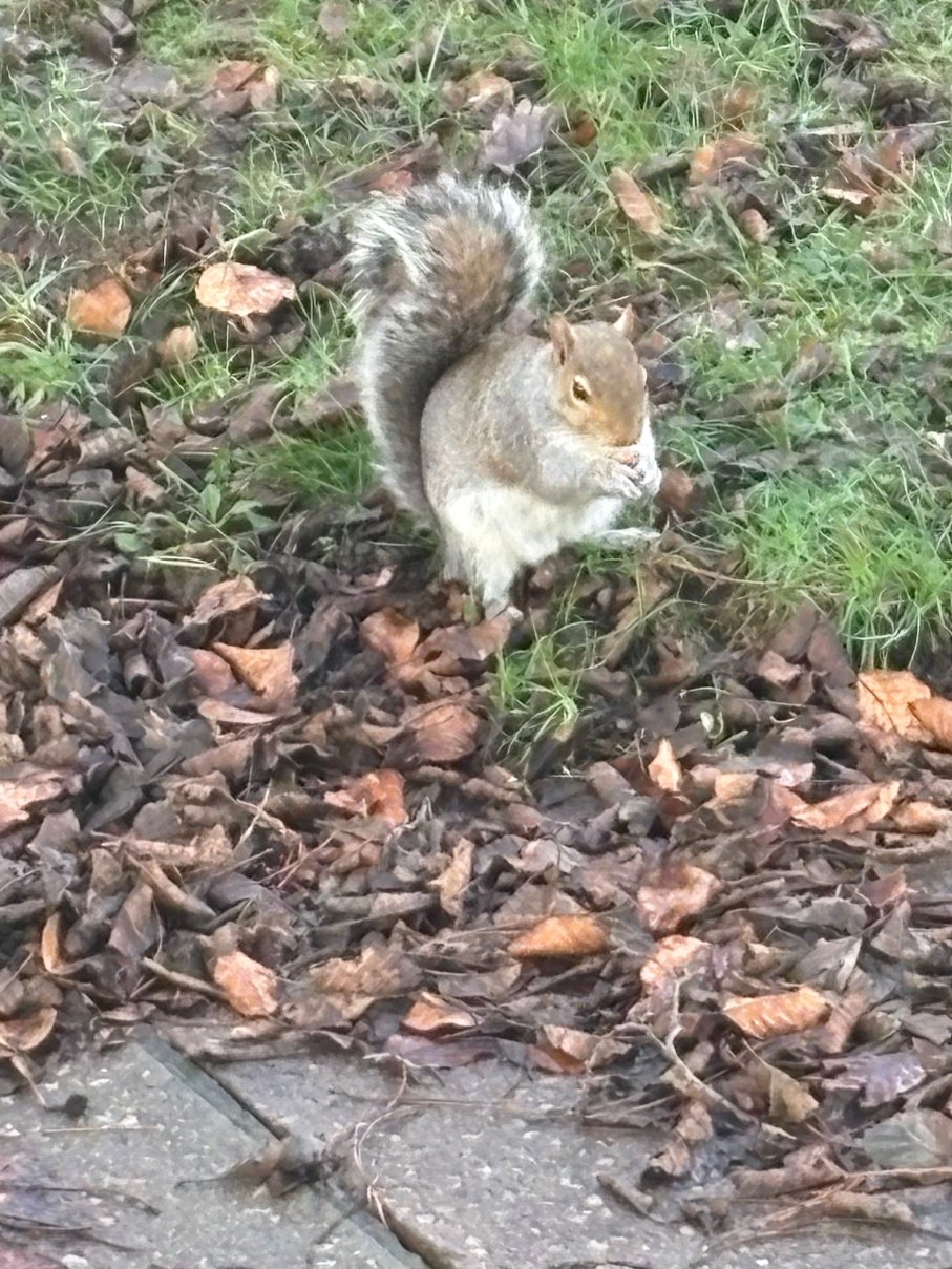 里昂兀兰霍尔酒店-浴室