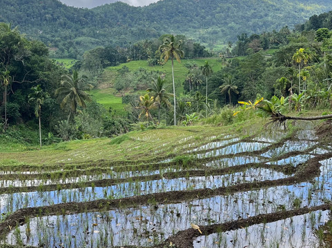 Sri Lanka Trekking-康提必去景点