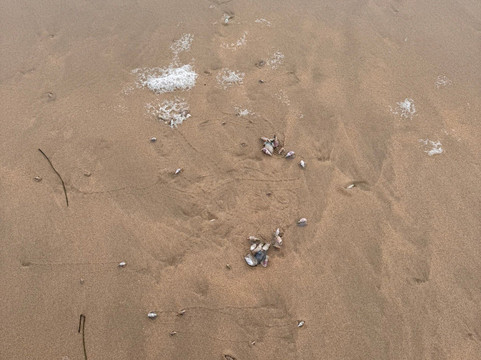 Plettenberg Beach-普利登堡湾必去景点