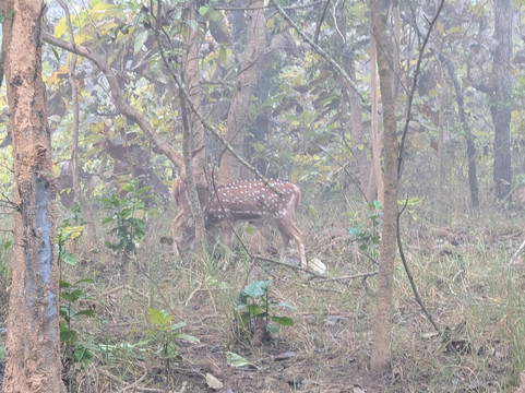 Janu Private Tours-斋蒲尔必去景点