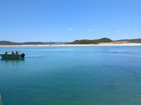 Wow Wilderness Ecocruises-沃泊尔必去景点