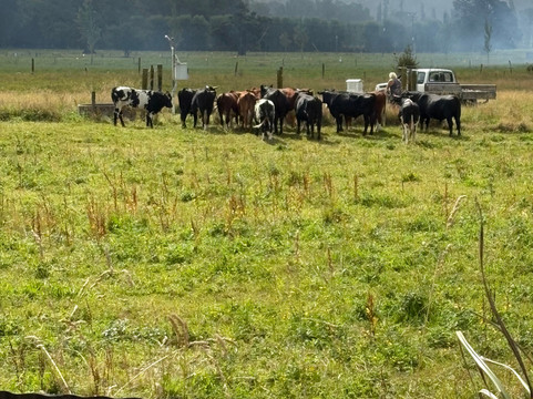 默化汽车旅馆主图