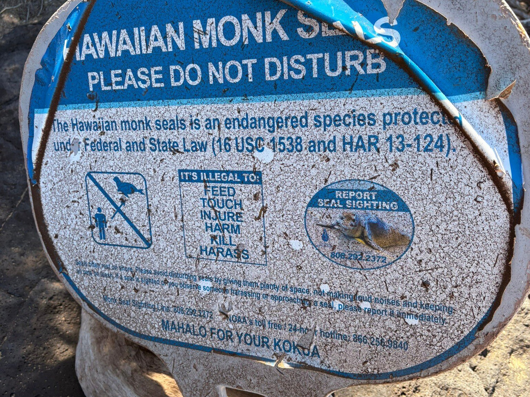 船难海滩-拉奈市必去景点