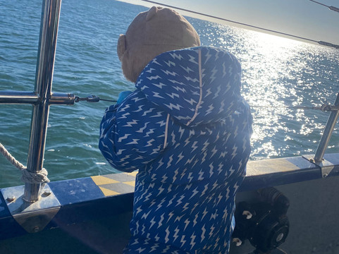 Billy Shiel's Boat Trips-Seahouses必去景点