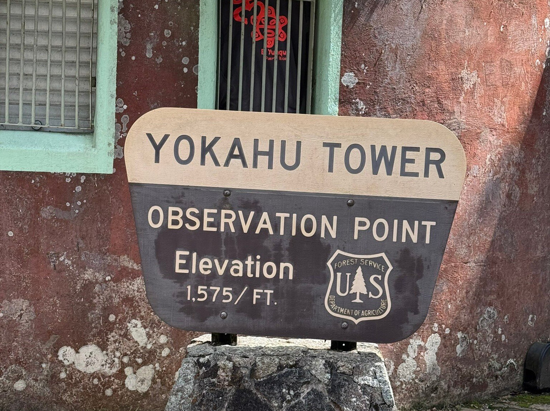 De Tour Con Ali-圣胡安必去景点