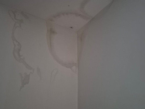 布里尔斯酒店主图