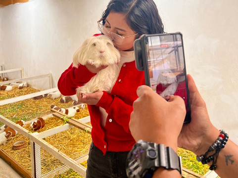 Taller De Arte Textil Rodríguez-塔玛必去景点