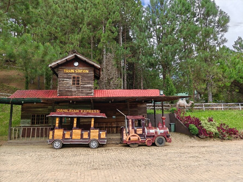 大希莱恩森林公园度假村主图