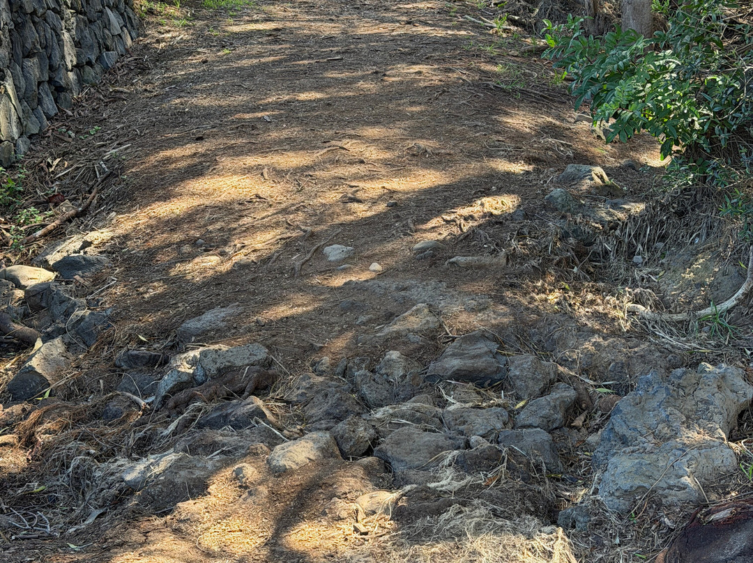 Ulu La'au (waimea Nature Park)-卡慕也拉必去景点