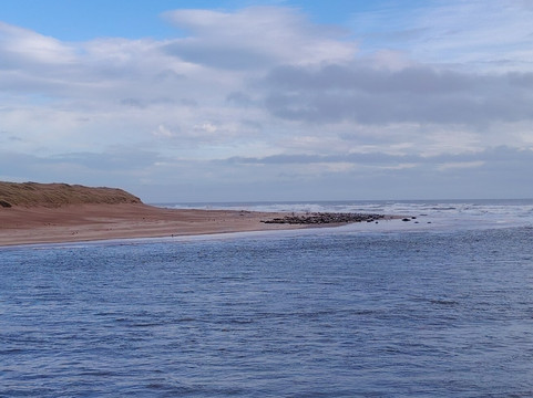 Newburgh Seals Beach-Newburgh必去景点