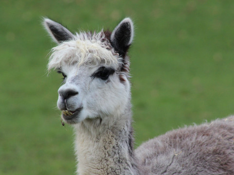 比尔公园-雷丁必去景点