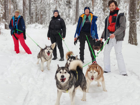 Openlappland-Amsele必去景点