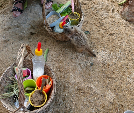 Samui Exotic Park-湄南必去景点