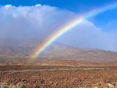 Quad Safari-阿罗纳必去景点