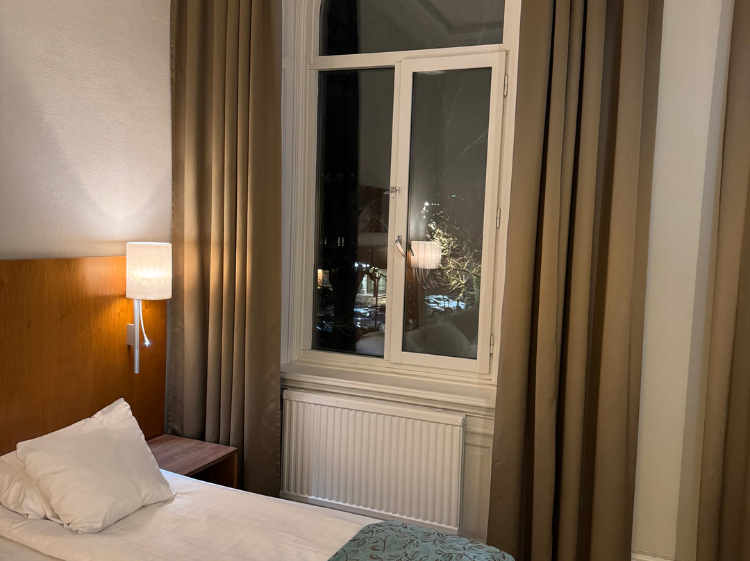 斯堪迪克比尔灵根酒店主图