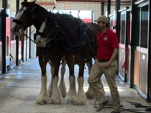 Warm Springs Ranch-Boonville必去景点