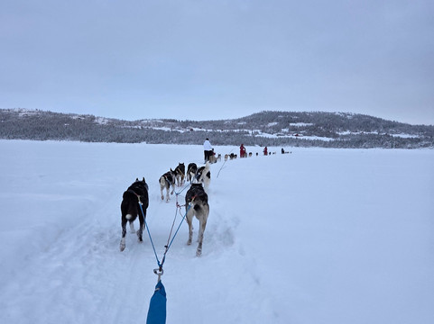 Beito Husky Tours Day Tours-Beito必去景点