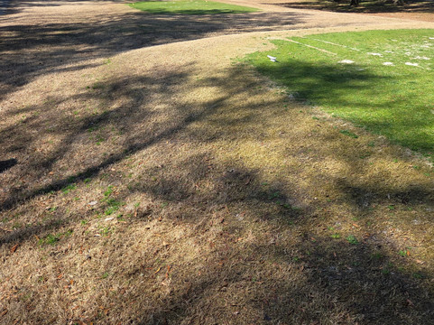 Lockwood Folly Country Club-Holden Beach必去景点