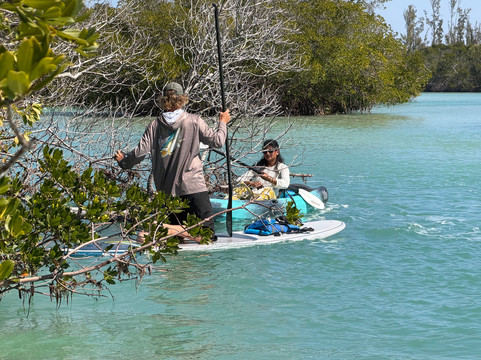 SURFit USA-Lido Key必去景点