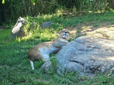 珀斯动物园-南珀斯必去景点