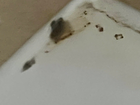 智选假日套房酒店贝敦 by IHG主图