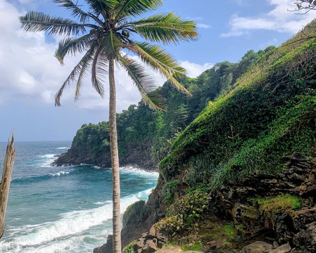 Untouchable Tours-Calibishie必去景点