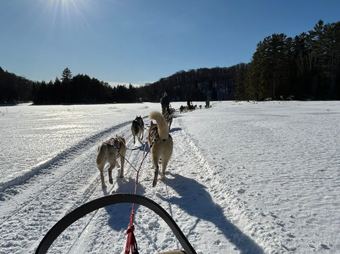 Winterdance Dogsled Tours-Haliburton必去景点