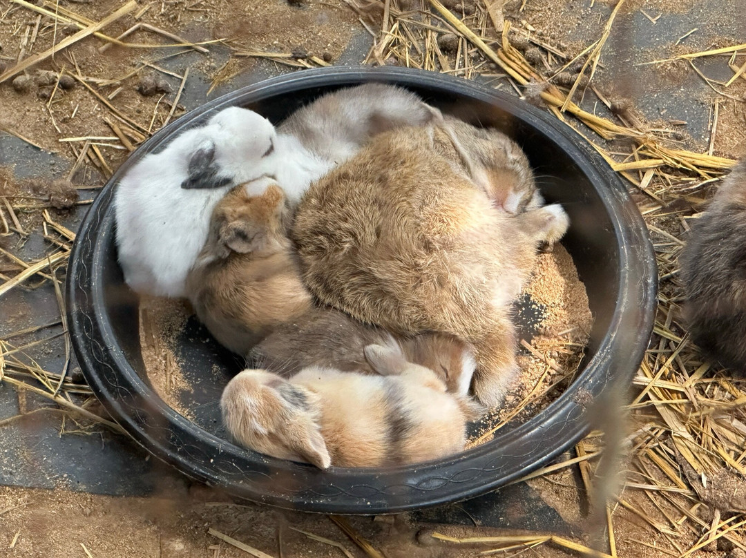 Riverside Luxury Pool Villa 88 Place主图