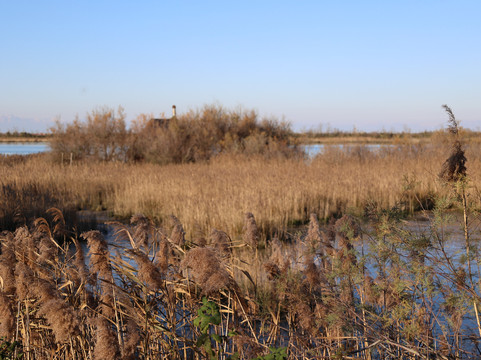 Casoni di Caorle-卡奥莱必去景点
